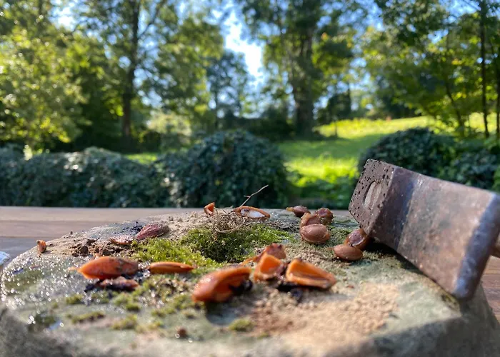 Les Sources Sainte-Marguerite-de-Carrouges